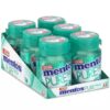 Mentos gum wintergreen bottle 6