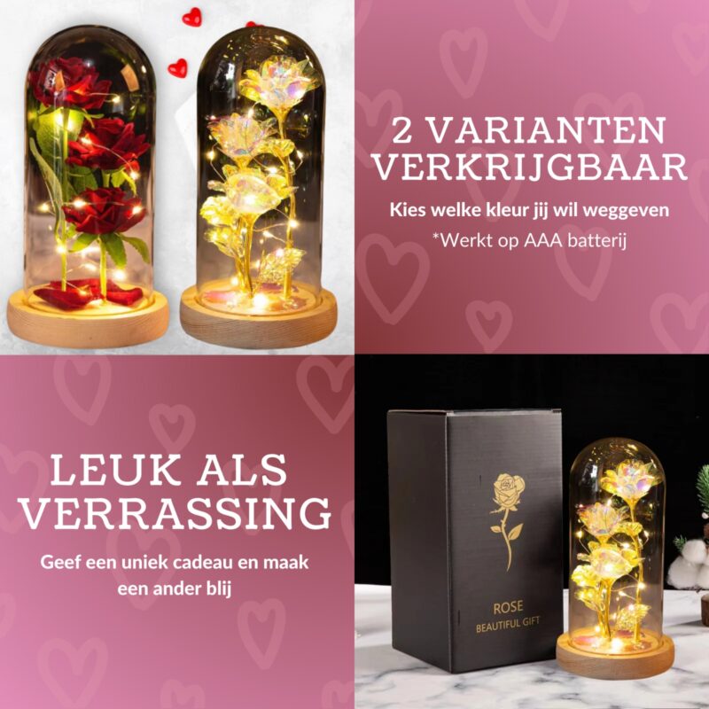 Eeuwige roos Cadeau