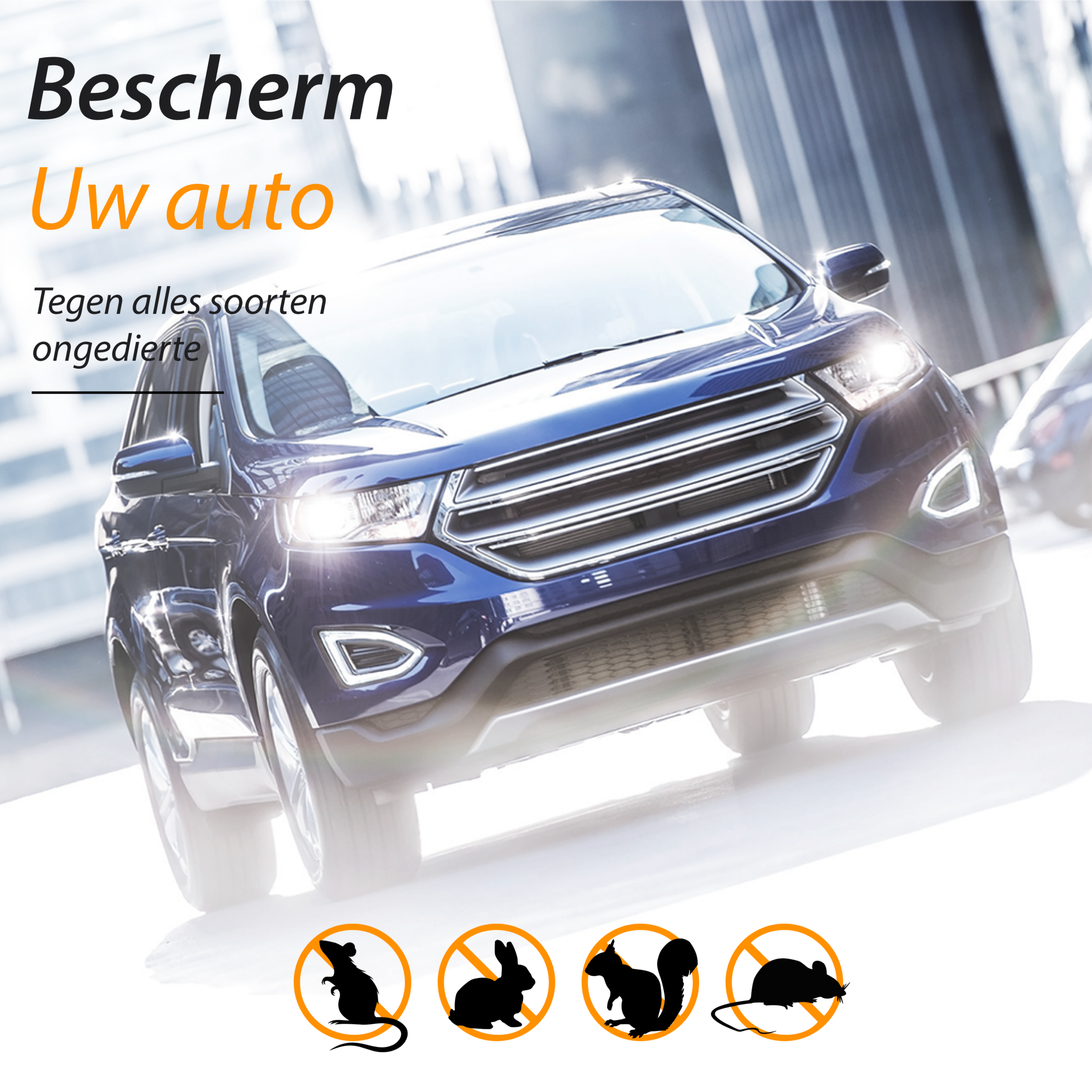 Deluxness®- Verjager - Marterverjager - Ultrasoon voor Auto - Ongedierte Verjager - Marters, Muizen & Ratten - Diervriendelijk - Werkt Op 12V Accu, Batterijen of Netstroom - Voor Binnen of in de Auto - Steenmarter verjager - 1 Stuk - Incl Batterijen - Afbeelding 8